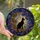 Cat & Book Lovers' Tiffany Stained Glass Black Cat Moon Books Cosmic Amber Emerald Sapphire Stained Glass Suncatcher - 1
