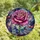 Art Lovers' Tiffany Style Stained Glass Rose Cosmic Nebula Jewel Tone Floral Pattern Stained Glass Suncatcher - 4