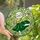 Cat Lovers' Whimsical Stained Glass Dancing Cat Vibrant Lime Green Pink Forest Green Mosaic Art Stained Glass Suncatcher - 1
