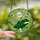 Cat Lovers' Whimsical Stained Glass Dancing Cat Vibrant Lime Green Pink Forest Green Mosaic Art Stained Glass Suncatcher - 2