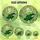 Cat Lovers' Whimsical Stained Glass Dancing Cat Vibrant Lime Green Pink Forest Green Mosaic Art Stained Glass Suncatcher - 6