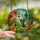 Nature Lovers' Edge-to-Edge Stained Glass Ruby Hummingbird Tropical Hibiscus Jungle Floral Mosaic Art Stained Glass Suncatcher - a9KG6lNTPo