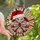 Christmas Enthusiasts' Tiffany Style Stained Glass Ornament Crimson Red Santa Hat Sparkling Jewel Mosaic Stained Glass Suncatcher - 1
