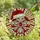 Christmas Enthusiasts' Tiffany Style Stained Glass Ornament Crimson Red Santa Hat Sparkling Jewel Mosaic Stained Glass Suncatcher - 4