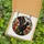 Cat Lovers' Ornate Tiffany Stained Glass Black Winged Cat Red Poppies Golden Amber Floral Mosaic Stained Glass Suncatcher - 5