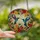 Nature Lovers' Vibrant Tiffany Stained Glass Hummingbirds & Floral Mosaic in Iridescent Jewel Tones Stained Glass Suncatcher - PRlGVqw8-r