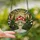 Christmas Art Lovers' Whimsical Stained Glass Red Toadstool Evergreen Winter Forest Stained Glass Suncatcher - 2
