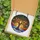 Nature Lovers' Tiffany Style Stained Glass Tree of Life, Jewel Tone Multicolored Leaves & Radiant Sunset Mosaic Stained Glass Suncatcher - TQT9PJY5X2