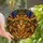 Cat Lovers' Intricate Tiffany Style Stained Glass Cat Head Mosaic Orange Green Blue Stained Glass Suncatcher - 1