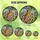 Nature Lovers' Tiffany Style Stained Glass Cardinal, Ruby Red Berries & Golden Orange Foliage Mosaic Stained Glass Suncatcher - 6
