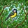 Nature Lovers' Cheerful Great Tit Tiffany Stained Glass Bright Yellow Green Intricate Mosaic Stained Glass Suncatcher - 7