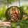 Nature Lovers' Tiffany Style Stained Glass Woodland Fox Totem Crimson Green Amber Forest Art Stained Glass Suncatcher - zEfilmPAIc