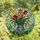 Floral Art Lovers' Vibrant Tiffany Stained Glass Tulip Bouquet Iridescent Emerald Mosaic Stained Glass Suncatcher - 4