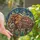 Art Enthusiasts' Majestic Stained Glass Elephant Intricate Floral Mosaic Jewel Tone Stained Glass Suncatcher - oxEAcnkIGc