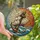 Nautical Enthusiasts' Ornate Stained Glass Anchor & Clipper Ship Ocean Art with Jewel Tones Stained Glass Suncatcher - 1