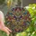 Art Lovers' Majestic Stained Glass Butterfly Mosaic Art Iridescent Jewel Tones Blues Yellows Oranges Greens Stained Glass Suncatcher - 1