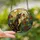Artful Cat Lovers' Tiffany Stained Glass Tortoiseshell Cat Monarch Butterfly Wildflower Meadow Mosaic Stained Glass Suncatcher - Ntu4SKQY7T