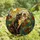 Artful Cat Lovers' Tiffany Stained Glass Tortoiseshell Cat Monarch Butterfly Wildflower Meadow Mosaic Stained Glass Suncatcher - t7EXkcuqYD