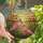 Nature Lovers' Vibrant Pink Roseate Spoonbill Stained Glass Marsh Sunset Mosaic Stained Glass Suncatcher - 1