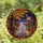 Whimsical Art Lovers Intricate Stained Glass Autumn Night Adorable Lavender Ghosts Violet Golden Orange Mosaic Stained Glass Suncatcher - 4