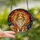 Shetland Sheepdog Lovers' Vibrant Stained Glass Sheltie Portrait, Tiffany Style Jewel Tones, Abstract Mosaic Background Orange Red Blue Stained Glass Suncatcher - 2