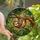Sloth Lovers' Intricate Stained Glass Sloth Jungle Mosaic Vibrant Jewel Tones Stained Glass Suncatcher - 1