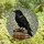 Art Lovers' Ornate Stained Glass Raven Vintage Books Jewel Tone Mosaic Pattern Stained Glass Suncatcher - 4