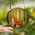 Nature Lovers' Jewel-Toned Stained Glass Fox Woodland Mosaic Art Stained Glass Suncatcher - gZJg6bMTdo