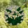 Art Lovers' Vibrant Tiffany Style Calla Lily White Yellow Green Stained Glass Mosaic Stained Glass Suncatcher - 5ZJTuZnJIN