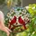 Nature Lovers' Vibrant Stained Glass Cardinals Dogwood Floral Mosaic Art Red Green Blue Gold Stained Glass Suncatcher - 1