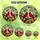 Nature Lovers' Vibrant Stained Glass Cardinals Dogwood Floral Mosaic Art Red Green Blue Gold Stained Glass Suncatcher - 6