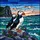 Nature Lovers' Intricate Stained Glass Atlantic Puffin Ocean Cliff Wildflower Mosaic Stained Glass Suncatcher - 7