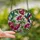 Nature Lovers' Vibrant Tiffany Stained Glass Hummingbirds Pink Fuchsia Floral Jewel Mosaic Art Stained Glass Suncatcher - 2
