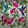 Nature Lovers' Vibrant Tiffany Stained Glass Hummingbirds Pink Fuchsia Floral Jewel Mosaic Art Stained Glass Suncatcher - 7