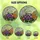 Art Lovers' Vibrant Tiffany Glass Botanical Mosaic Purple Violets Cherry Blossoms Chrysanthemum Jewel Tones Stained Glass Suncatcher - 6