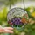 Art Lovers' Vibrant Tiffany Glass Botanical Mosaic Purple Violets Cherry Blossoms Chrysanthemum Jewel Tones Stained Glass Suncatcher - 2