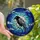 Art Lovers' Detailed Stained Glass Raven Moonlit Night Black Gray Amber Tiffany Style Design Stained Glass Suncatcher - 1
