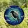 Art Lovers' Detailed Stained Glass Raven Moonlit Night Black Gray Amber Tiffany Style Design Stained Glass Suncatcher - 4