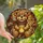 Holiday Decor Lovers' Tiffany Style Stained Glass Teddy Bear Glowing Honey Pot Red Green Jewel Tones Stained Glass Suncatcher - 1