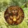 Holiday Decor Lovers' Tiffany Style Stained Glass Teddy Bear Glowing Honey Pot Red Green Jewel Tones Stained Glass Suncatcher - 4