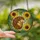 Nature Lovers' Whimsical Stained Glass Hedgehog Sunflower Botanical Mosaic Orange Yellow Green Jewel Tones Stained Glass Suncatcher - 2