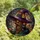 Fantasy Art Lovers' Tiffany Stained Glass Witch Hat House Black Cat Amber Violet Mosaic Stained Glass Suncatcher - 8c8A6rBo2d