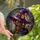 Fantasy Art Lovers' Tiffany Stained Glass Witch Hat House Black Cat Amber Violet Mosaic Stained Glass Suncatcher - ID1ZPAluiH