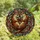 Romantic Souls' Embracing Otters Tiffany Stained Glass Jewel Tone Mosaic Stained Glass Suncatcher - MDKWw7sNLo