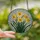 Nature Lovers' Intricate Stained Glass Daffodil Floral Mosaic Yellow Orange Green Blue Stained Glass Suncatcher - 2
