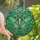 Nature Lovers' Tiffany Stained Glass Luna Moth Teal Aqua Emerald Green Foliage Eye Spot Pattern Stained Glass Suncatcher - 1
