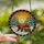 Nature Lovers' Intricate Tiffany Stained Glass Bear & Cub Snowy Forest Amber Glow Stained Glass Suncatcher - 9DqXSrSQo5