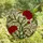 Floral Art Lovers' Vibrant Crimson Green Carnation Stained Glass Tiffany Mosaic Pattern Stained Glass Suncatcher - 4