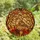 Nature Lovers' Intricate Tiffany-Style Stained Glass Songbird & Autumn Leaves Mosaic Amber Cream Terracotta Emerald Jewel Tones Stained Glass Suncatcher - _kyaI3ZdiV