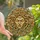 Mythology Art Lovers' Medusa Stained Glass Golden Teal Orange Geometric Mosaic Pattern Stained Glass Suncatcher - 1